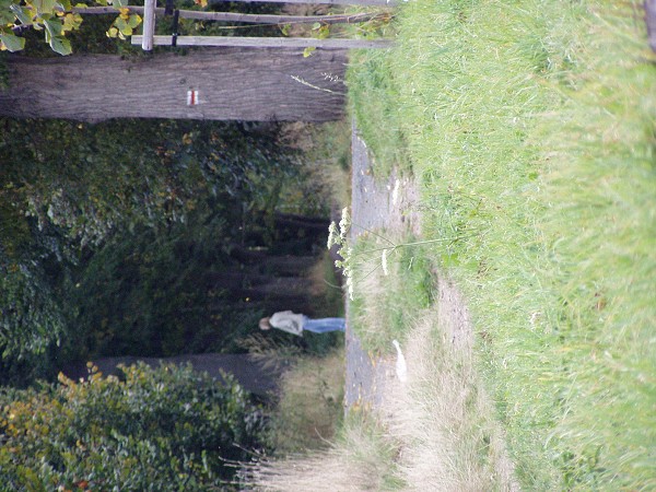 N�v�t�va skl�ren