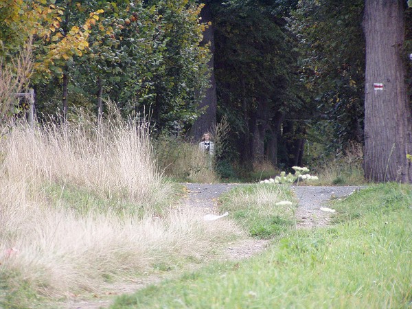 N�v�t�va skl�ren