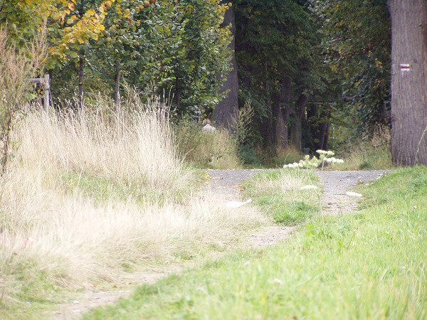 N�v�t�va skl�ren