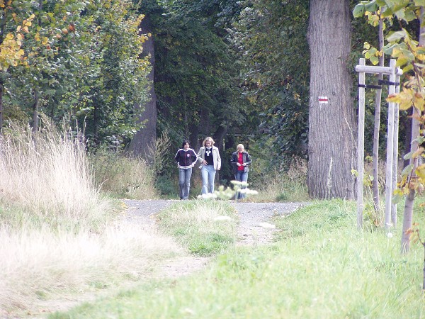 N�v�t�va skl�ren