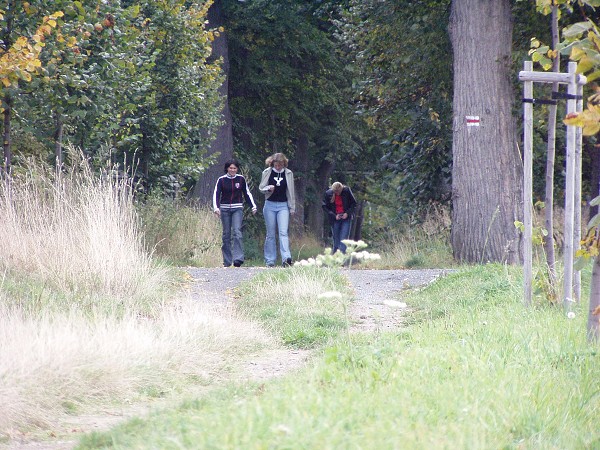 N�v�t�va skl�ren