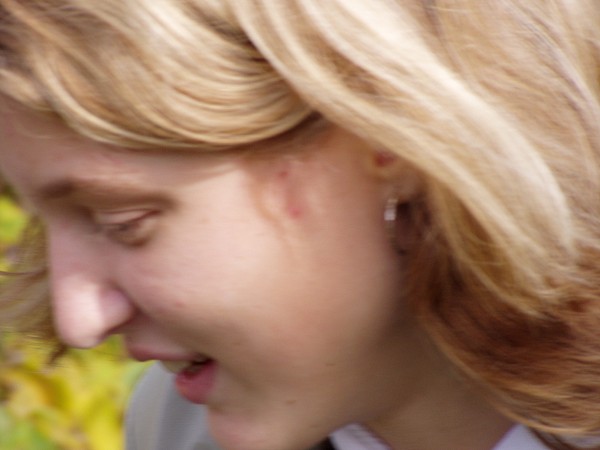 N�v�t�va skl�ren