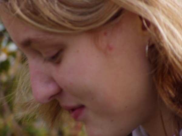 N�v�t�va skl�ren