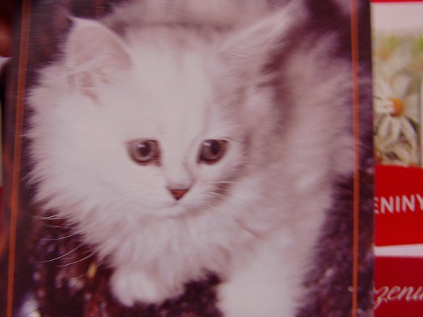 N�v�t�va skl�ren