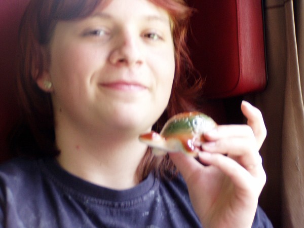 �koln� v�let �esk� R�j