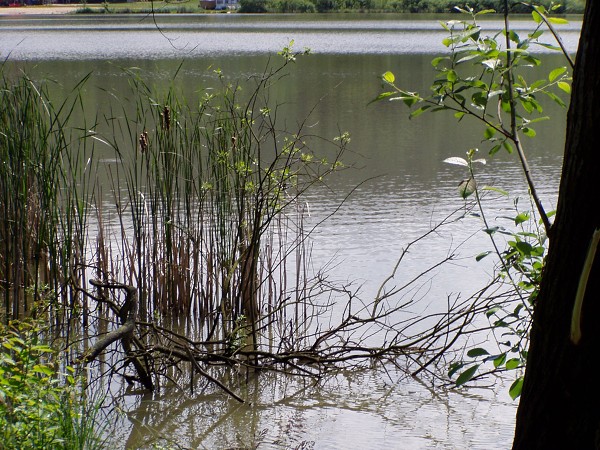 �koln� v�let �esk� R�j