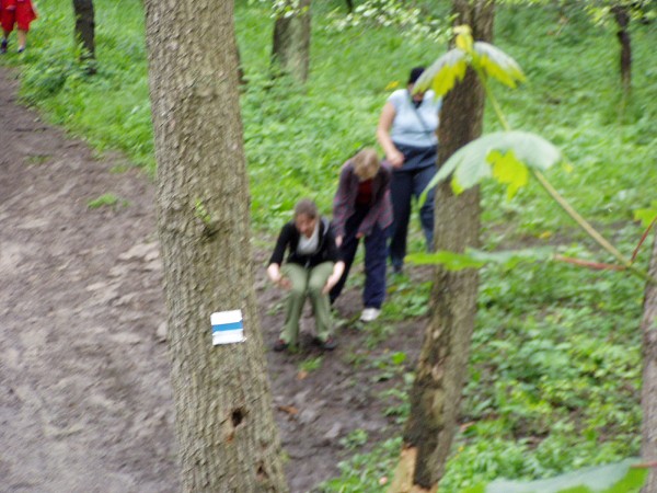 �koln� v�let �esk� R�j