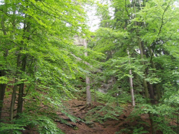 �koln� v�let �esk� R�j