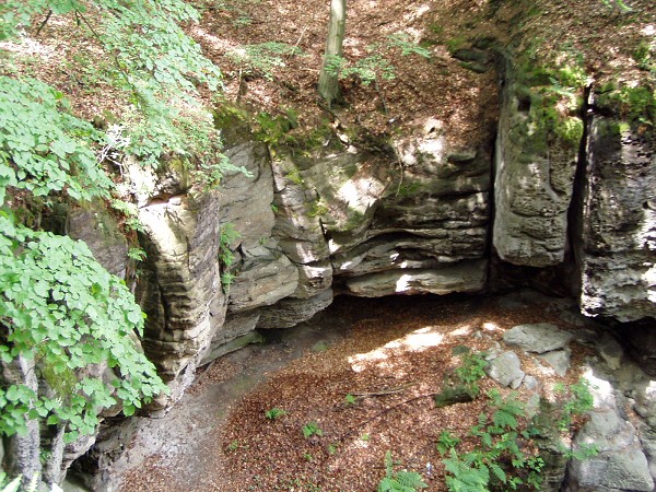 �koln� v�let �esk� R�j