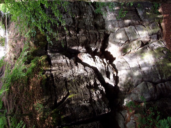 �koln� v�let �esk� R�j