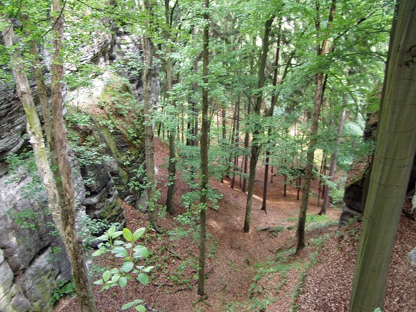 �koln� v�let �esk� R�j