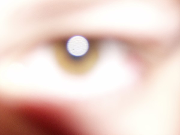 N�v�t�va v�stav