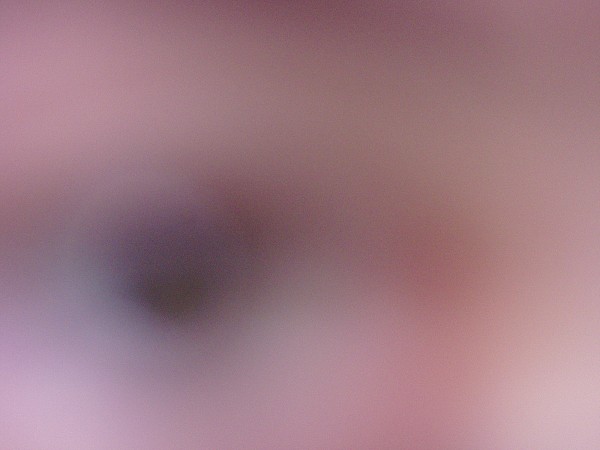 N�v�t�va v�stav