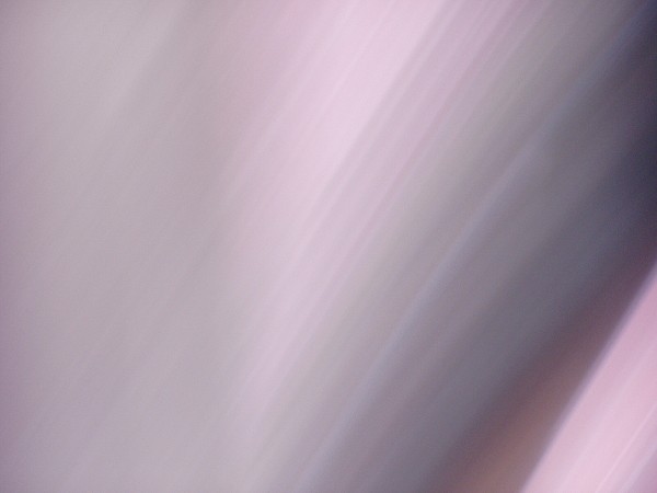 N�v�t�va v�stav