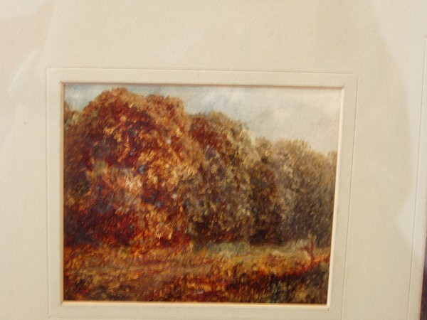 N�v�t�va v�stav