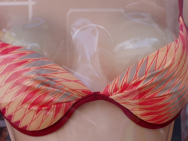 N�v�t�va v�stav