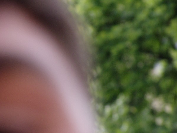 N�v�t�va v�stav